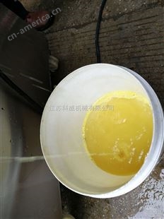 ZHJ型柠檬榨汁机